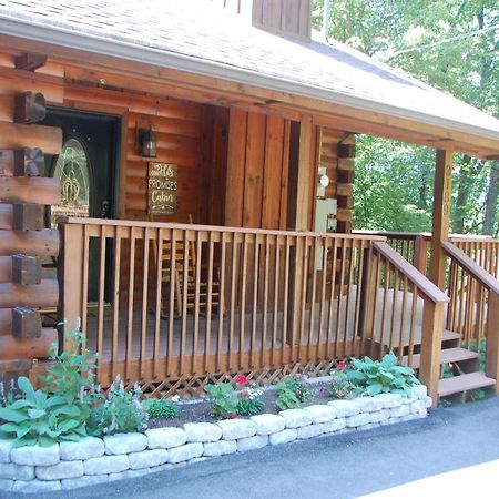 His Promises Cabin Pigeon Forge Eksteriør bilde